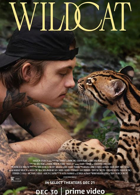 fmovie wildcat|wildcats full movie.